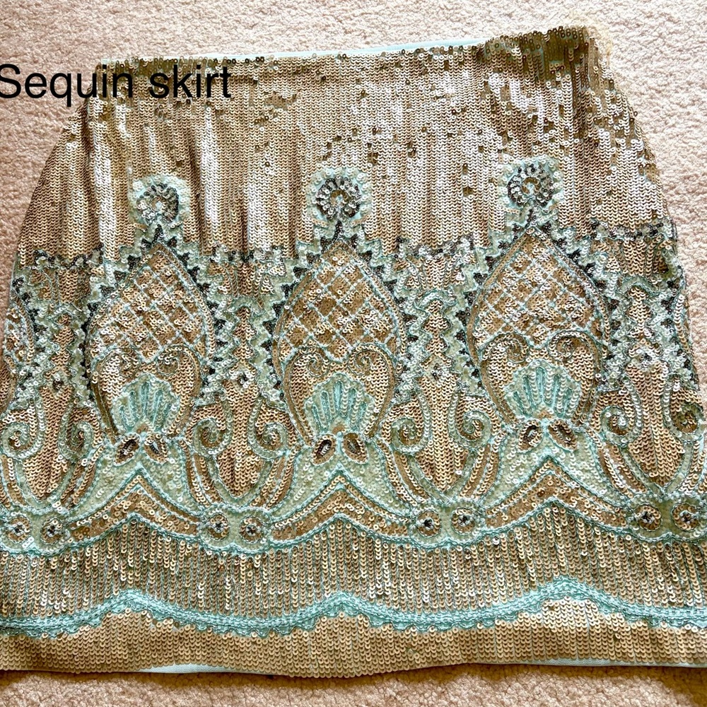 Francesca's Sequin CollectionsEmbroidered Skirt in Gold and Aqua/Mint